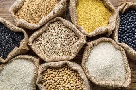 Hope in a Hamper: Meals for the Marginalized